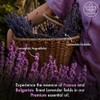 Lavender Essential Oil | 100% Pure and Natural | 4