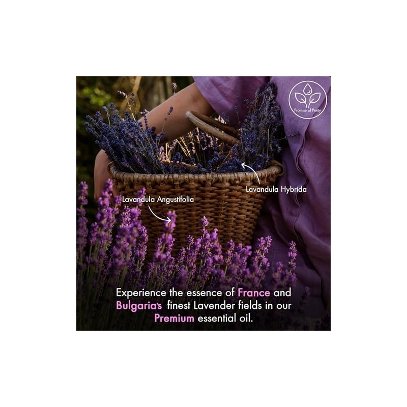 Lavender Essential Oil | 100% Pure and Natural | 4