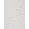 Tracing Paper Dots Silver Fsc Mix