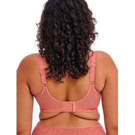 Elomi Matilda Underwire Plunge Bra Rose Leo 34GG (US 34J)