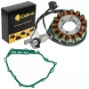 For Yamaha Stator & Gasket for Yamaha Rhino 700 YXR700F
