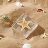 1st Heaven Prepared Starfish, Real Starfish Preparation in Resin -