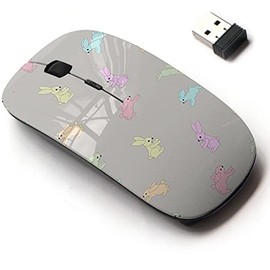 2.4G Wireless Mouse with Cute Pattern Design for All Laptops and Desktops with Nano Receiver - Cartoon Cute Bunnies Kids