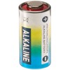 10 pk 4LR44 / 476A / PX28A / A544 /