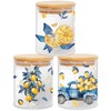 JarThenaAMCS 3Pcs Lemon Floral Glass Storage Jars with Airtight Lid