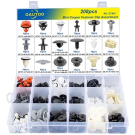 OAUTOO 208pcs for Mini Cooper Auto Body Interior and Exterior Retainer Fastener Clip Assortment
