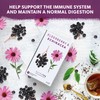 Nutra Tea - Elderberry & Echinacea Tea | Elderberry Tea