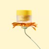 The Jojoba Company Jojoba Intense Moisture Balm 50ml