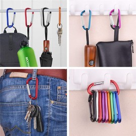 5 x D Shape coloured Carabiner Clip Snap Hook Small Keyring Camping Karabiner UK