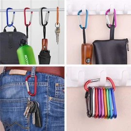 5 x D Shape coloured Carabiner Clip Snap Hook Small Keyring Camping Karabiner UK