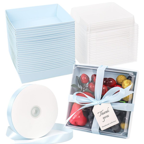 DERZIFUN DERZIFUN Blue Charcuterie Boxes with Clear Lids - Set