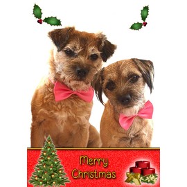 Border Terrier Dog Christmas Card 'Merry Christmas' - Special Animal Xmas Card for Him Her from Pets Kids
