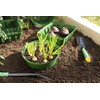 Connex FLOR79160 Flower Bulb planters, Multi-Colour