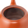 Tokoname Ware tk032 Teapot, Takeharu, Strained, 19.3 fl oz (540