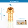 Male BSP Thread 1/2" Male Thread Pipe Fitting 16 mm