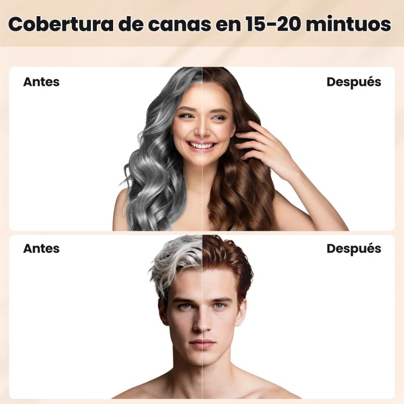 Shampoo Con Tinte Hair Dye Natural Jengibre Para Cubre Canas