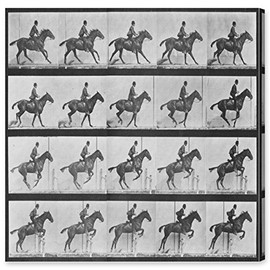 Oliver Gal ''Stages of a Jumping Horse" Canvas Art, 20" x 20"