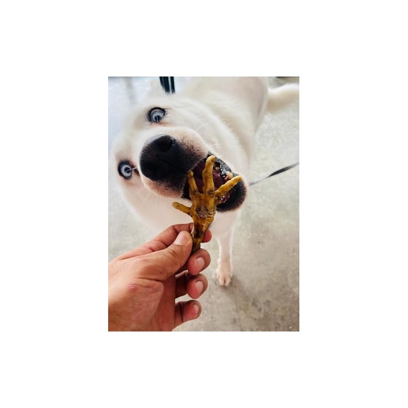 Snack 100% Natural para Perros, 15 Piezas, Crujientes, Deliciosas y
