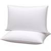 Gooeb Flat Bed Pillows Queen Size Set of 2 Soft