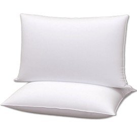 Gooeb Flat Bed Pillows Queen Size Set of 2 Soft Thin Pillow for Stomach Sleeping Adults Plush Fluffy White 20x30 inches