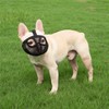 Short Snout Dog Muzzle- Adjustable Bulldog Muzzle Breathable Mesh Dog