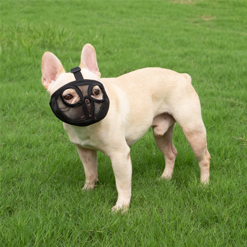 Short Snout Dog Muzzle- Adjustable Bulldog Muzzle Breathable Mesh Dog