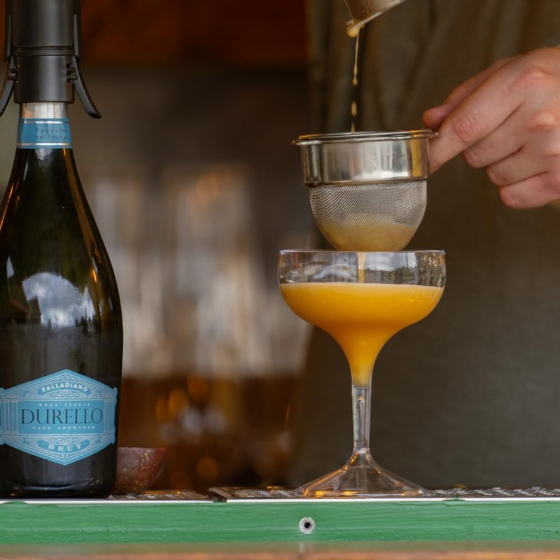 AIOS Unbreakable Polycarbonate Champagne Saucer/Coupe Glass 260ml (4)