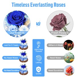 MAMAMIKO Preserved Roses in Glass Dome with LED Light - Long Lasting Real Roses, Forever Flowers for Delivery, Mothers Gifts for Her, Mom, Wife Anniversary Birthday Gifts for Women, Blue