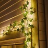 Fairy Lights with Vines, 33FT 100LED String Lights with 33FT