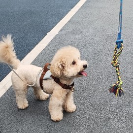 DIBBATU Dog Rope Toy, 3 Pack for Small Dogs, Durable Interactive Puppy Toys Ropes, Flirt Pole Replacement Toys for Teething Health, Relieve Boredom