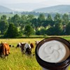  Beef Tallow Face Moisturizer - Grass Fed Beef Tallow