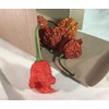 Dragon's Breath Ultra Hot Pepper Dried Whole Pods 5 Pack