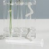 DECHOUS 6Pcs Clear Test Tubes for Plant 6 Inch Propagation