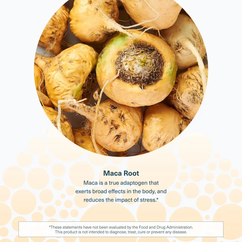 Youtheory Maca Root Mujeres Vegano 120 Cpsulas Sin Gluten