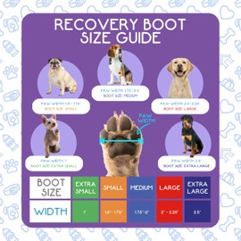 Calm Paws Recovery Boot and paw Protector (XSmall)