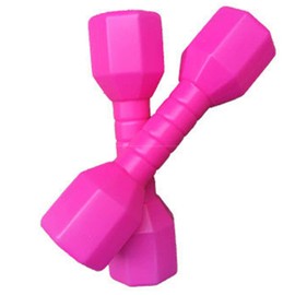 2pcs/set Children Dumbbells Fitness Equipment Kindergarten Fun Gift Kids Arm Hand Weights Pilates Dumbbells,Home Gym Exercise Barbell,Fitness Dumbbell Set for Core Strength Training (Rose Red)