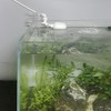 ZAOJIAO Auto-top-Off ATO Solution Auto Water Filler Adjustable Float Valve