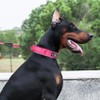 UNA MASCOTA Collar Táctico para Perros - Seguridad y Comodidad