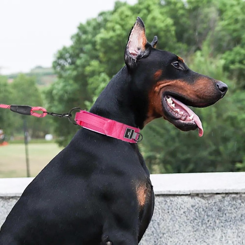 UNA MASCOTA Collar Táctico para Perros - Seguridad y Comodidad
