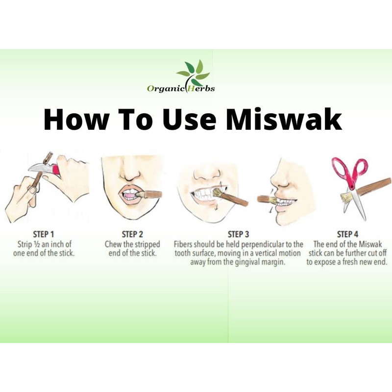 Natural Traditional Miswak (sewak) Peelu Chewing Stick Toothbrush for Whiter