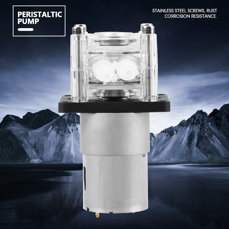Walfront DC 12V High Peristaltic Pump, Modern Style, Plastic Material,