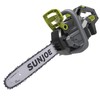 Sun Joe iON100V-18CS-CT 18-Inch 100-Volt Brushless Lithium-iON Cordless Handheld Chain