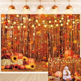 Fall Backdrop Autumn Forest Scenery Maple Leaves Pumpkins Sunflowers Photography Background Fall Thanksgiving Day Friendsgiving Party Supplies Photo Booth Prop (7x5FT（210x150cm）)