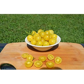 Lemon Drop Tomato Seeds- Yellow Cherry Heirloom- 25+ Seeds by Ohio Heirloom Seeds
