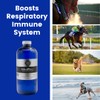 SilvaPlex Natural Immune Support Solution for Dogs, Cats, Horses, Small