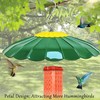 andergi 13.5-Inch Hummingbird Feeder Shade Dome Cover,Bird Feeder Rain Cover