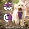 Enhanced Strenght Tru-Fit Smart Harness, Purple, Extra Large
