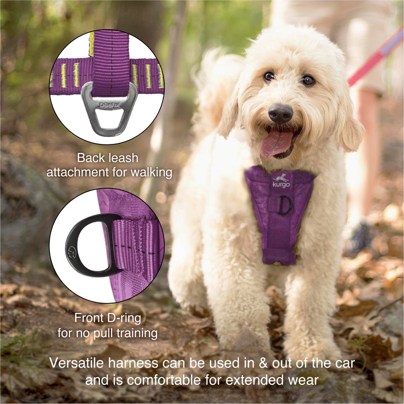 Enhanced Strenght Tru-Fit Smart Harness, Purple, Extra Large