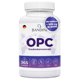 BANDINI Bandini? Traubenkernextrakt 365 Kapseln 1076mg je dosis | H?chster OPC Gehalt nach HPLC | 95% reines Traubenkern-Extrakt aus italienischen Weintrauben | 1052mg Extrakt mit 999,4mg OPC + 24mg Vitamin C