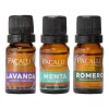 Kit Aceites Esenciales Lavanda, Menta Y Romero Pacalli